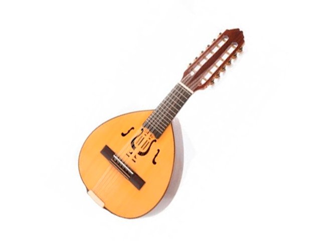 bandurria bandurria