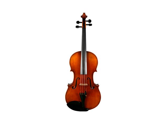 viola